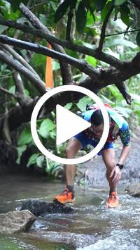 BIB:  <button type="button" onclick="openModal(27824754)" class="btn btn-primary btn-sm float-right" data-toggle="modal" data-target=".modal-high-quality">
                <i class="fa fa-download"></i> Download
                </button>